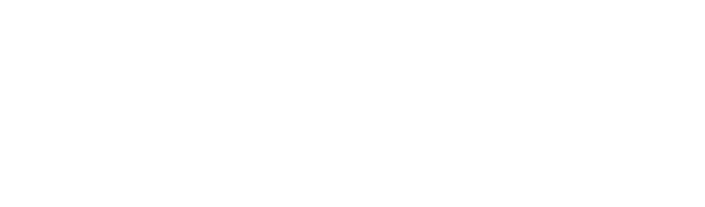 Parsons Engineering Group Logo